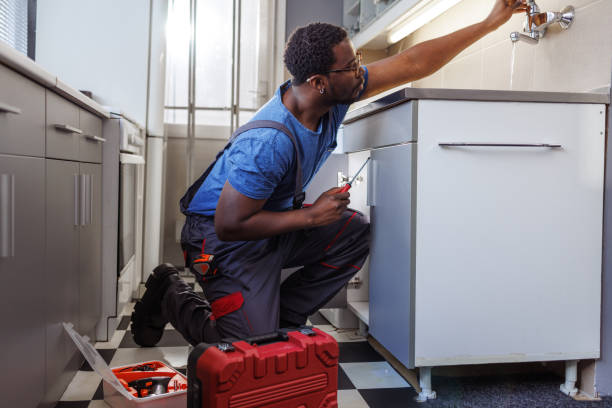 Best Plumbing Services Near Me  in Kouts, IN